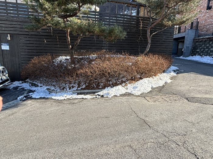 물건 사진 60