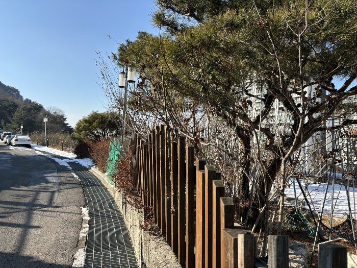 물건 사진 61