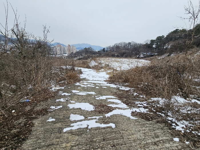 물건 사진 8