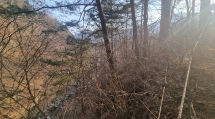 물건 사진 17