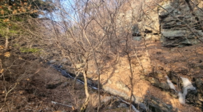 물건 사진 19