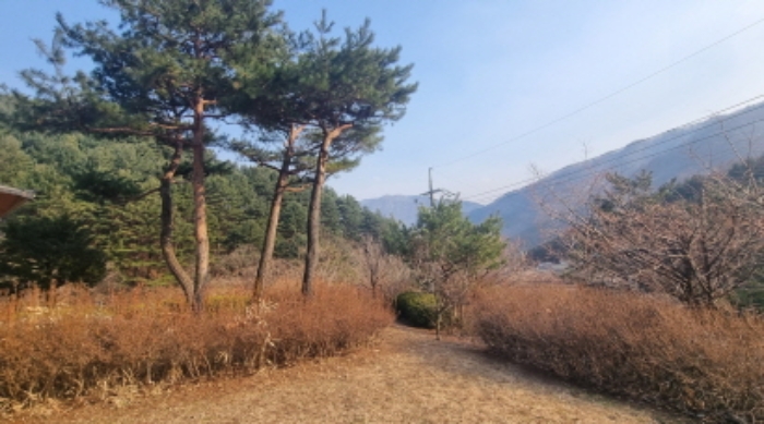 물건 사진 9