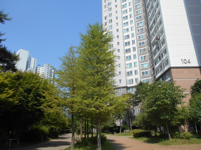 물건 사진 10