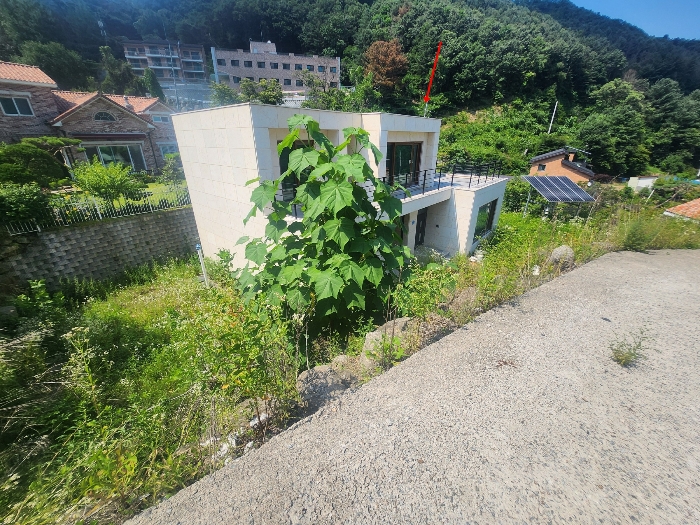 물건 사진 6