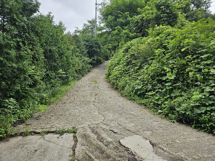 물건 사진 19