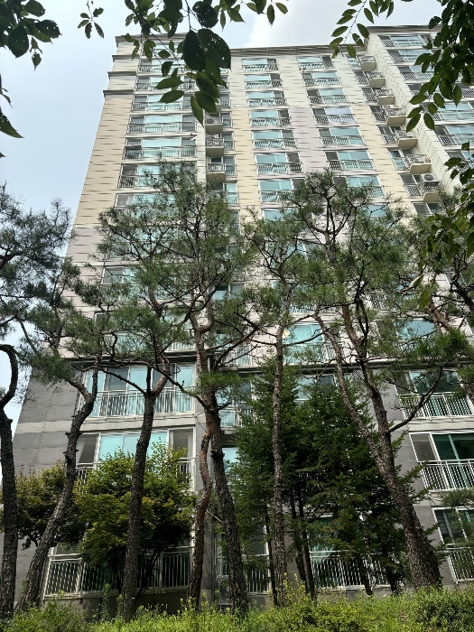 물건 사진 14