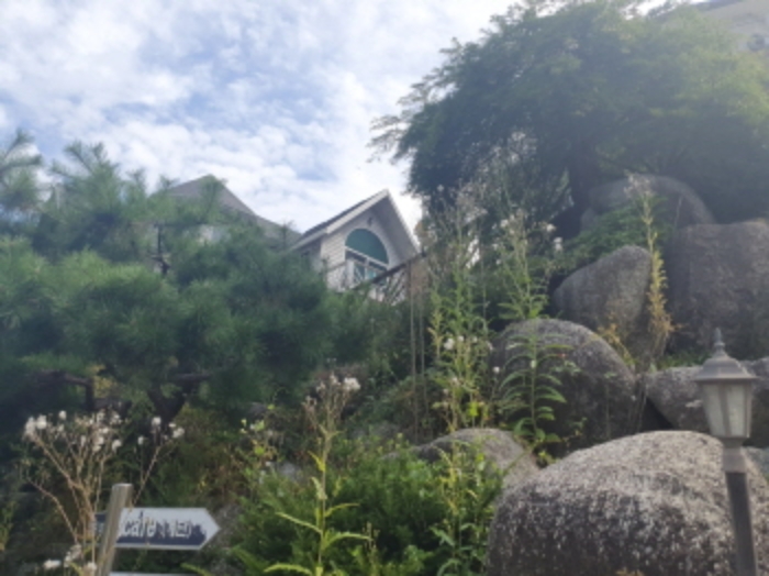 물건 사진 19