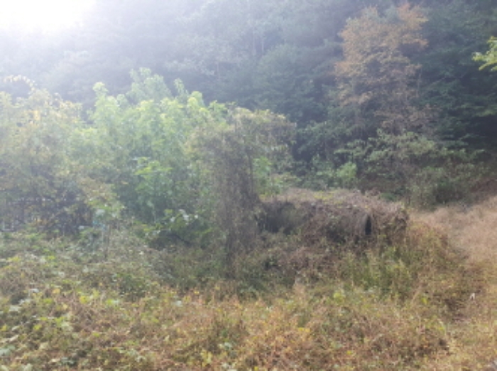 물건 사진 11