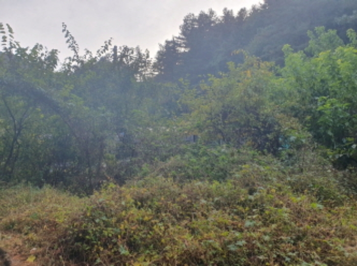 물건 사진 12