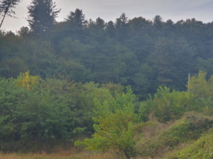 물건 사진 19