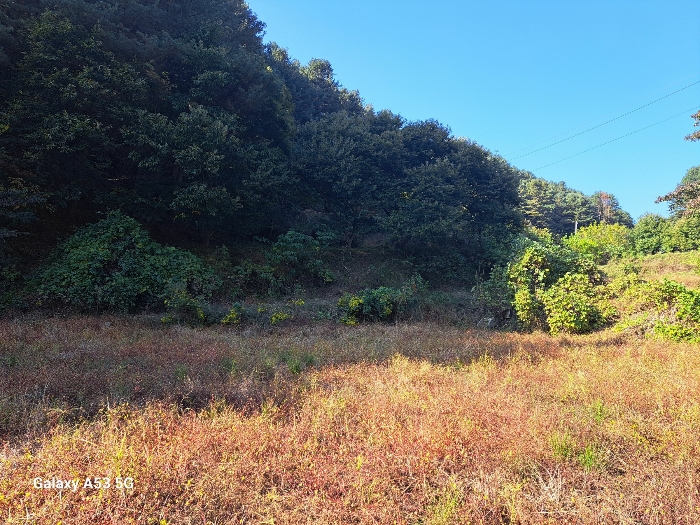물건 사진 26