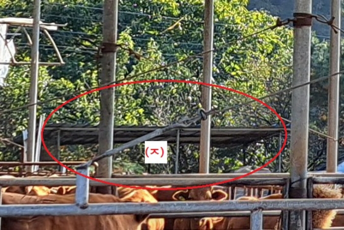 물건 사진 39