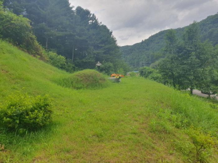 물건 사진 12