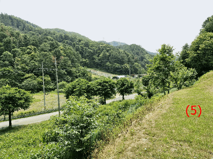 물건 사진 19