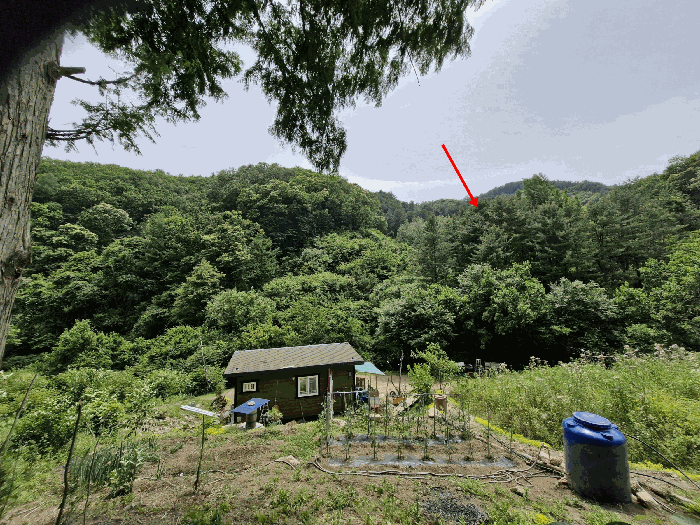 물건 사진 25