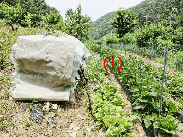 물건 사진 16