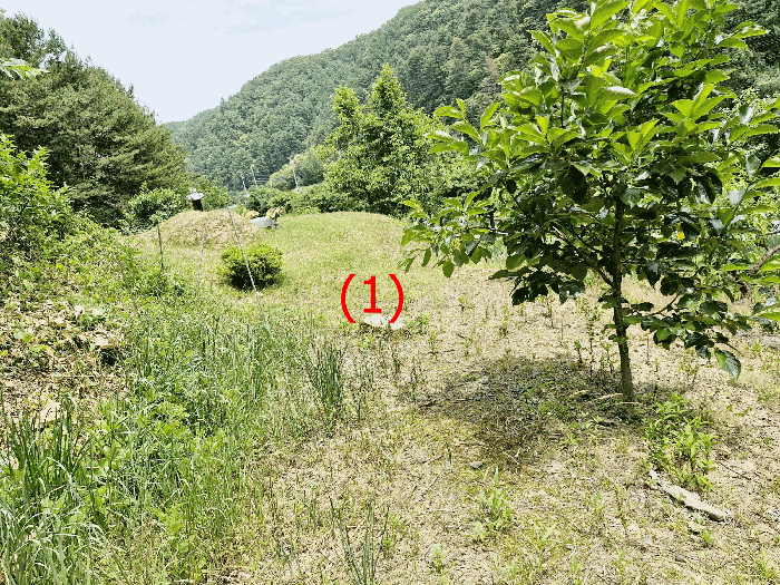 물건 사진 22