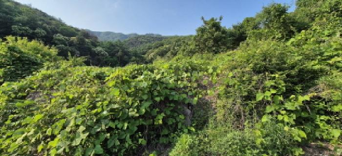 물건 사진 31