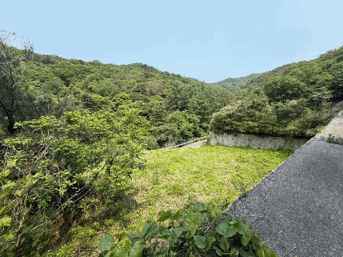 물건 사진 50