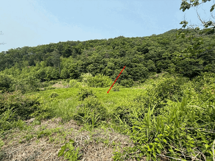 물건 사진 51