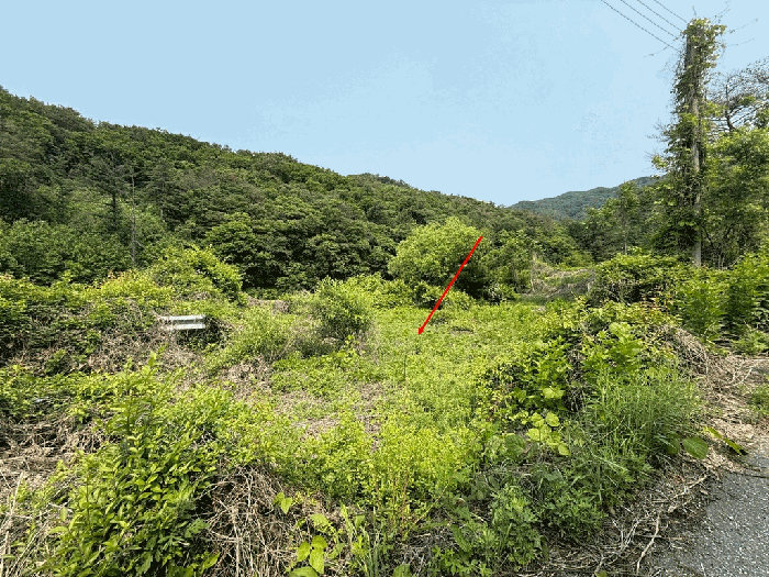 물건 사진 52