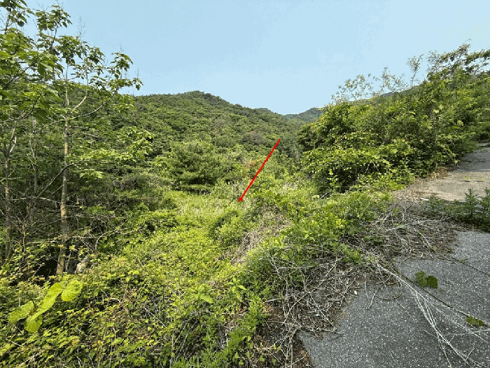 물건 사진 53