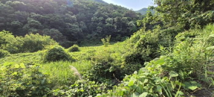 물건 사진 9