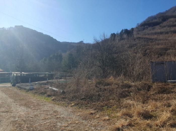 물건 사진 13