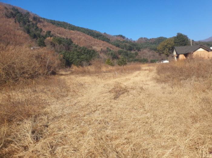 물건 사진 15