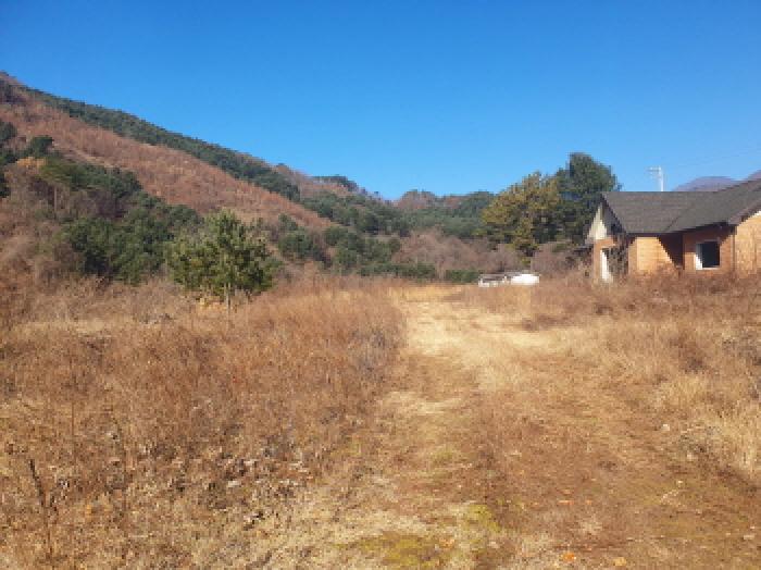 물건 사진 16