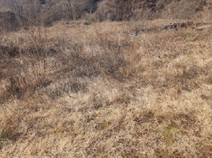 물건 사진 19