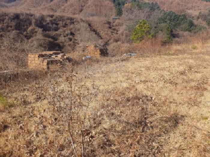 물건 사진 23