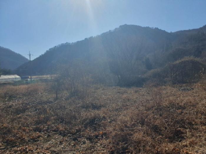 물건 사진 26