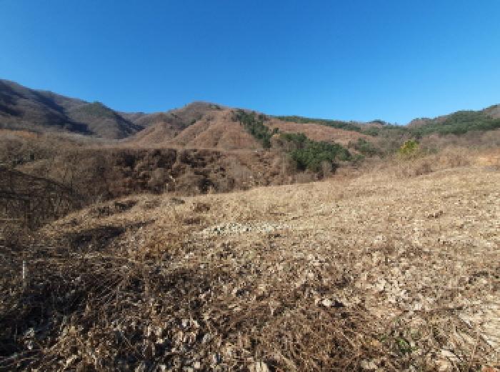 물건 사진 28