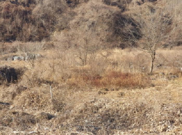 물건 사진 29