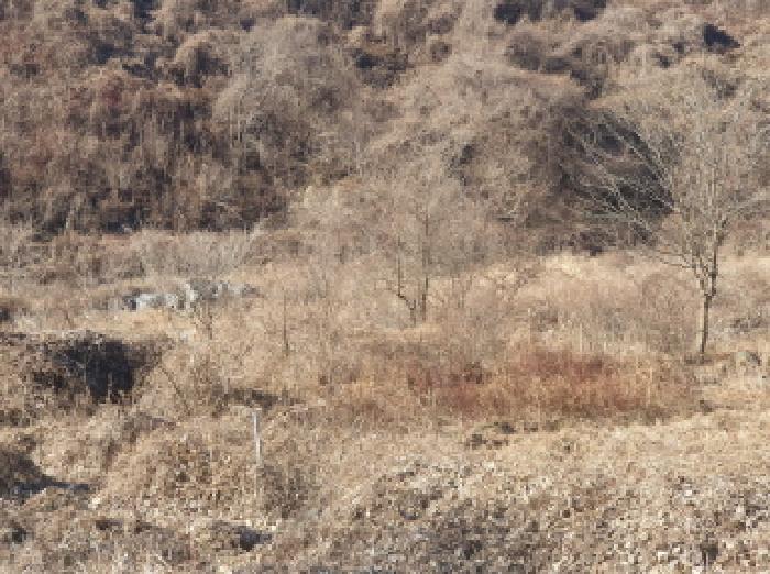 물건 사진 30