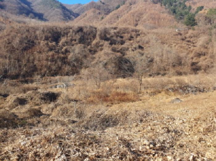 물건 사진 31