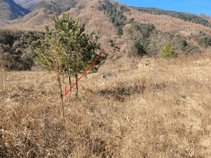 물건 사진 39