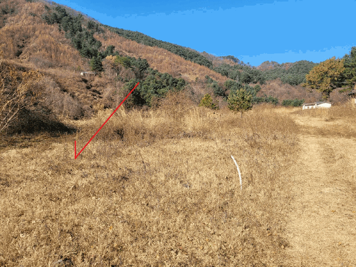 물건 사진 42