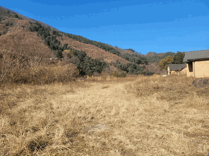 물건 사진 43