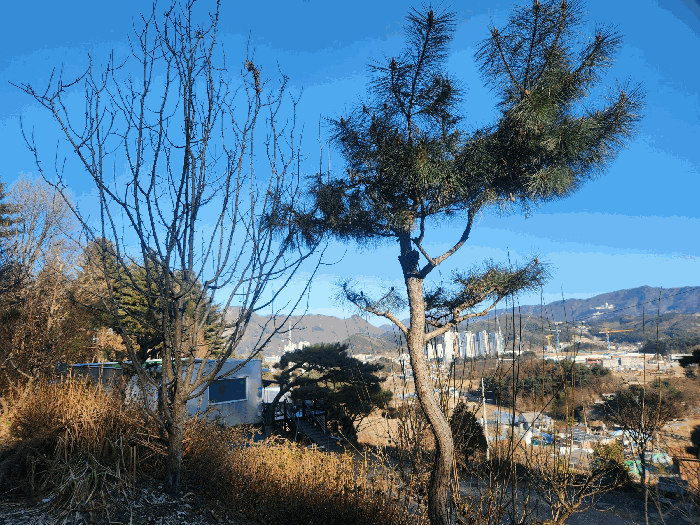 물건 사진 21