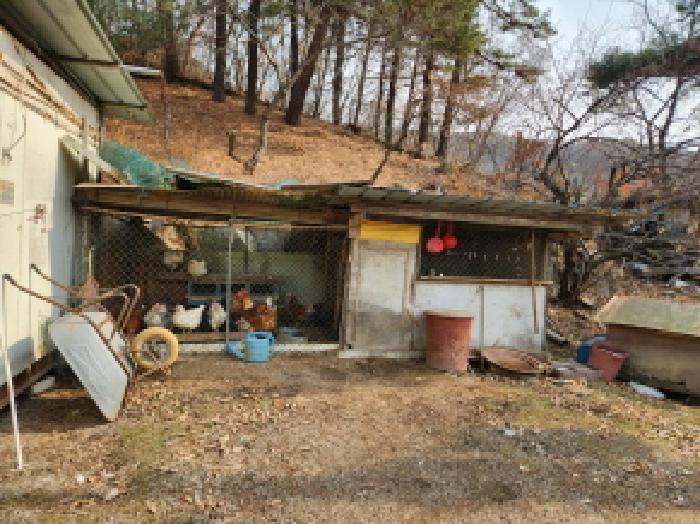 물건 사진 12