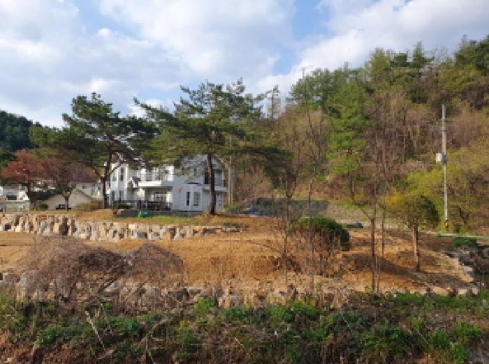물건 사진 16