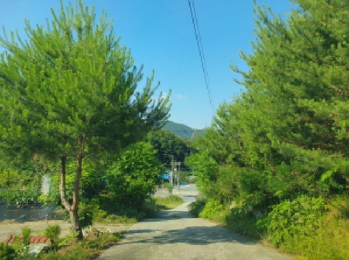 물건 사진 9