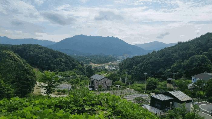 물건 사진 34