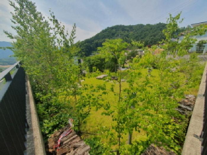 물건 사진 5