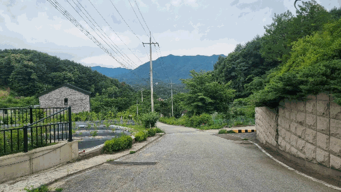 물건 사진 41