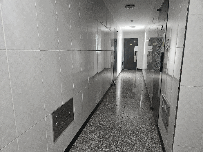 물건 사진 50
