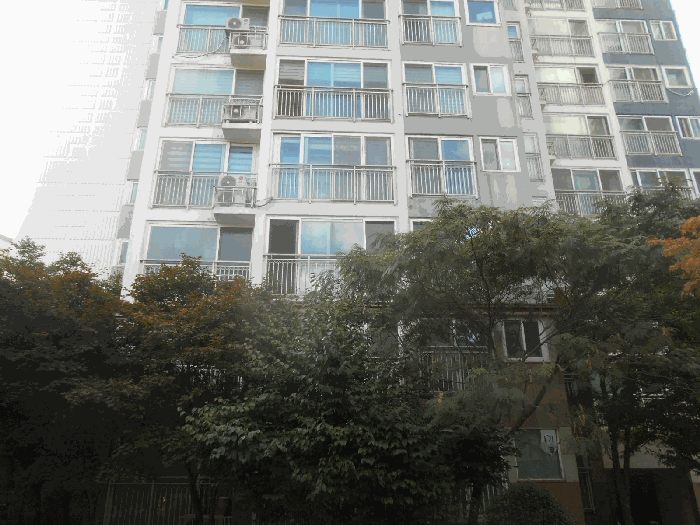 물건 사진 9