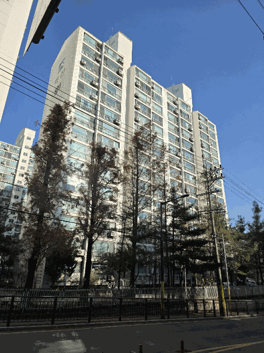물건 사진 10